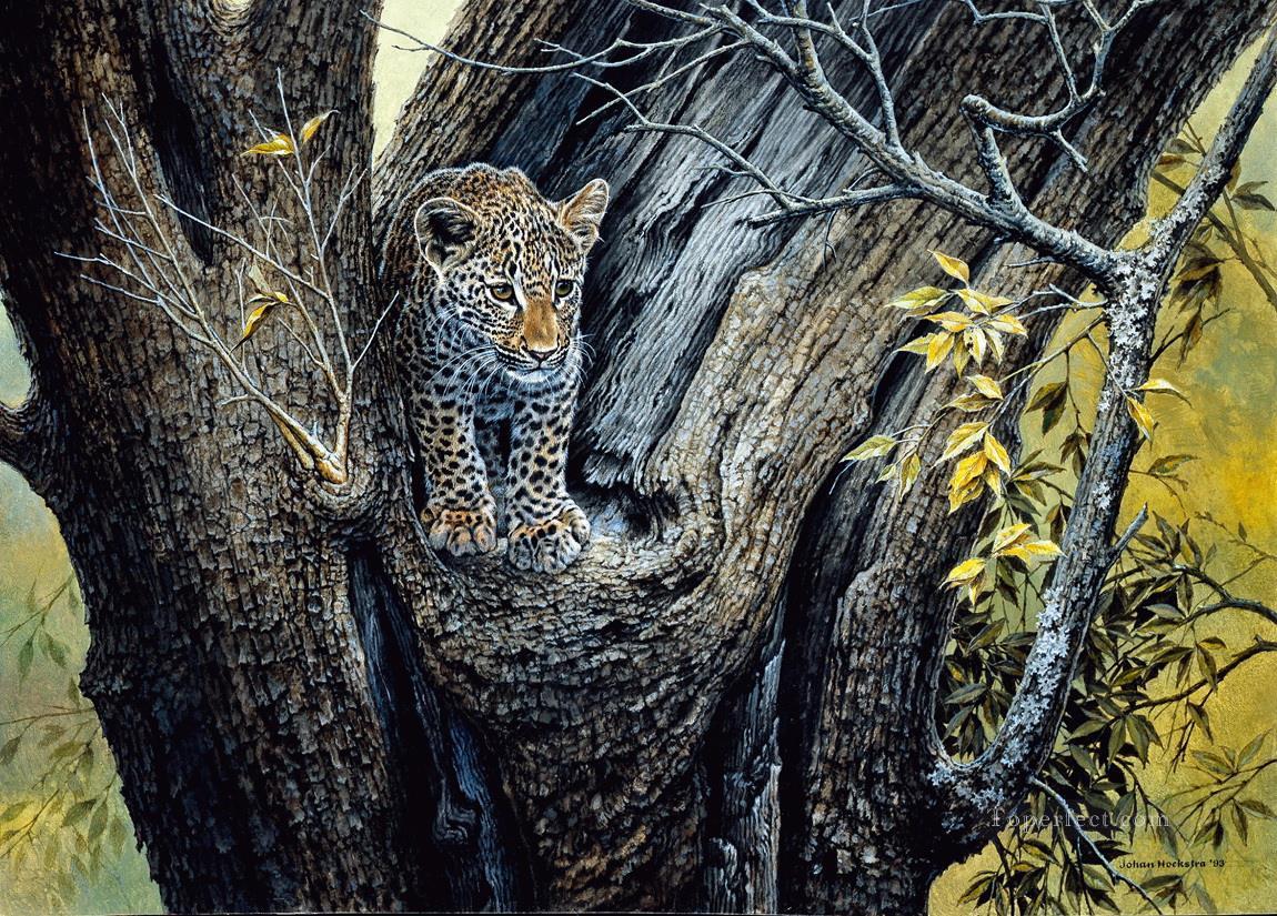 leopard 19 Oil Paintings